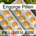 Engorge Pills levitra2